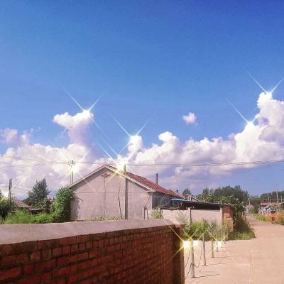 九游封龙战纪手游下载
